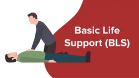 Basic-Life-Support (BLS)