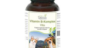 Vitamin B-Komplex - 100g für Hunde & Katzen