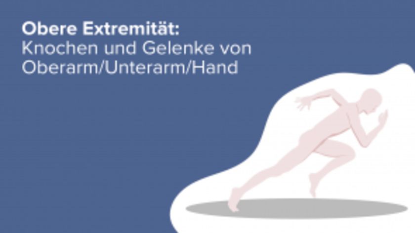 Obere Extremität: Knochen und Gelenke von Oberarm/Unterarm/Hand