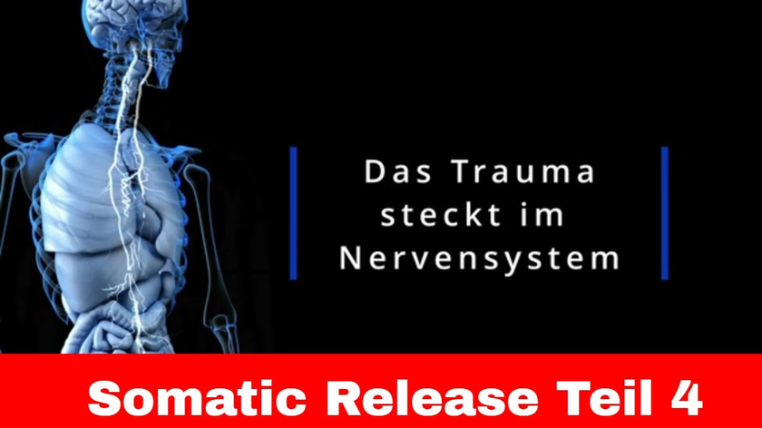 Trauma und Somatic Release Teil 4 - Polyvagal System