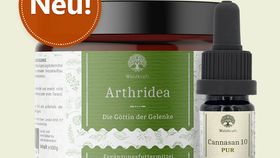 Set: Gelenke-Set für Katzen: Arthridea und CBD