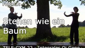 TELE-GYM 22 Integrales Qi Gong Folge 4: Stehen wie ein Baum &amp; Das verwurzelte Gehen VOD