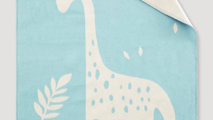 hessnatur Baby Kuschel-Decke mit Dino aus Bio-Baumwolle - natur - Größe 75x100 cm