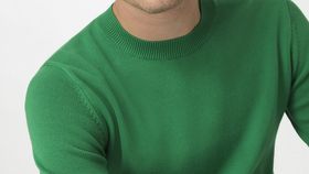 hessnatur Herren Pullover Regular aus Bio-Baumwolle - grün - Größe 46