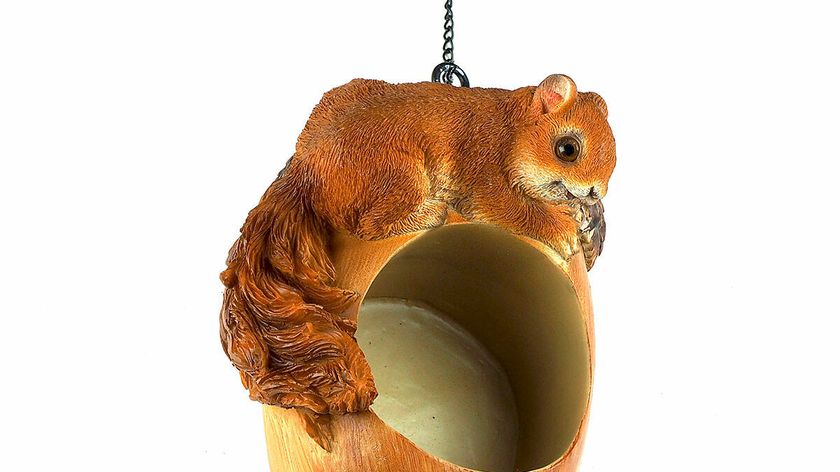 Futterhänger Eichhörnchen für Erdnussbutter