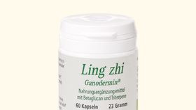 Ling Zhi - Ganodermin, Bio, 60 Kapseln