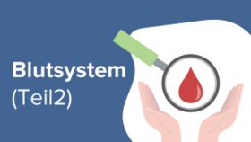Blutsystem (Teil 2)