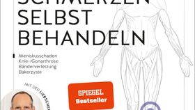 Knieschmerzen selbst behandeln Übungsbuch von Liebscher-Bracht