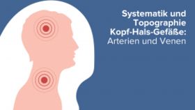Systematik und Topographie Kopf-Hals-Gefäße: Arterien und Venen