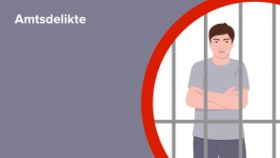 Amtsdelikte