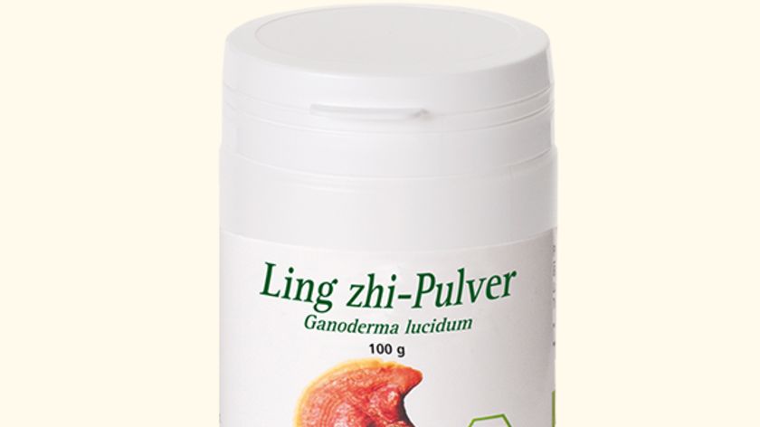 Ling zhi - Ganodermin, Bio, 100 g Pulver