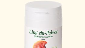 Ling zhi - Ganodermin, Bio, 100 g Pulver