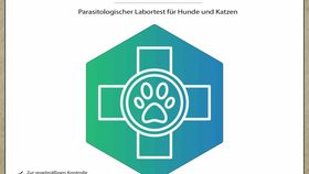 Parasiten-Screen