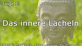 TELE-GYM 22 Integrales Qi Gong Folge 5: Das innere Lächeln und Organ-Lichtmeditation VOD