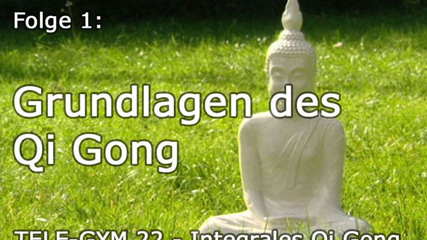 TELE-GYM 22 Integrales Qi Gong Folge 1: Grundlagen des Qi Gong VOD