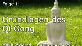 TELE-GYM 22 Integrales Qi Gong Folge 1: Grundlagen des Qi Gong VOD