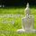 TELE-GYM 22 Integrales Qi Gong Folge 1: Grundlagen des Qi Gong VOD