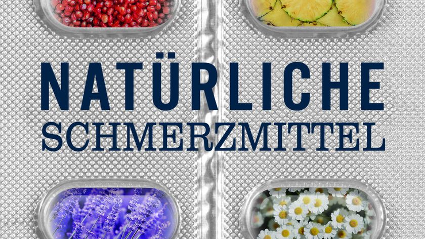Natürliche Schmerzmittel Buch von Dr. Yann Rougier