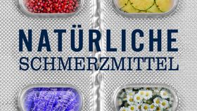 Natürliche Schmerzmittel Buch von Dr. Yann Rougier