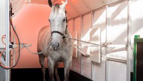 Wellplate horse