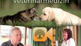 Video-Workshop: &quot,Alternativen in der Veterinärmedizin&quot, Dirk Schrader / Monika...