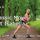 TELE-GYM 24 Aktiv in den Tag Folge 6 - Isabella: Classic Move VOD