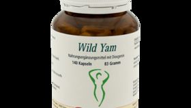 Wild Yam Extrakt, 140 Kapseln