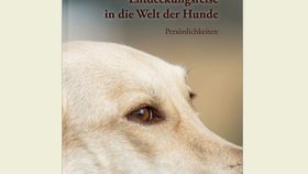 Entdeckungsreise in die Welt der Hunde