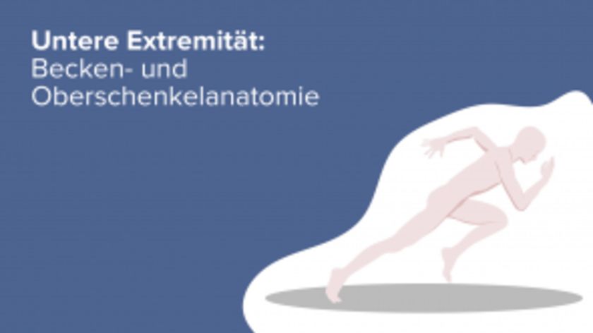 Untere Extremität: Becken- und Oberschenkelanatomie