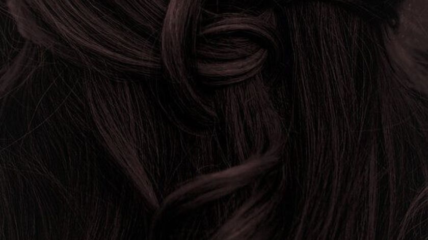 Pflanzenhaarfarbe Komplett SET kühles dunkles Mahagony-Schwarz "Cool mahagony black" Naturfriseur Pr