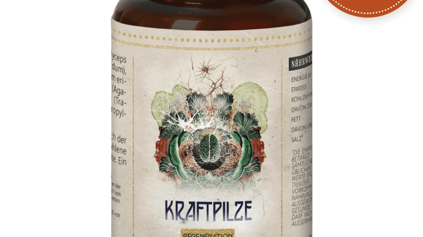 Kraftpilze Regeneration – Vitalpilz Synergetikum – 120 Kapseln
