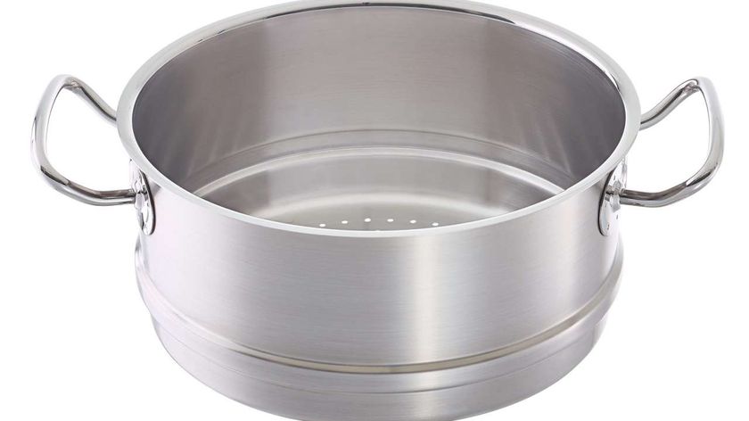 Fissler Dampfeinsatz Original Profi Collection zum Gemüse dämpfen