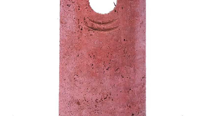 Vorderwand für Vogelhöhle 1B/2M Ø 32 mm Schwegler