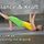 TELE-GYM 44 Bodystyling mit Brasil® Balance &amp; Kraft VOD