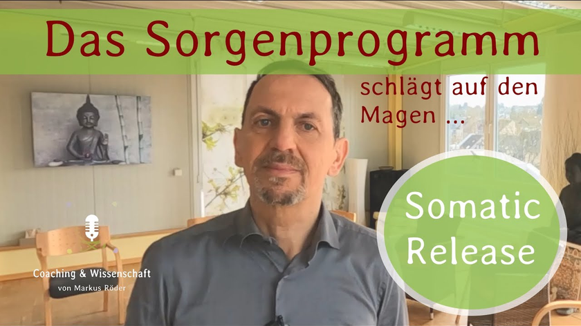 Die Sorgen und der Magen  -  Ganzheitliche Sicht mit Somatic Release