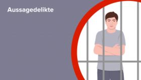 Aussagedelikte