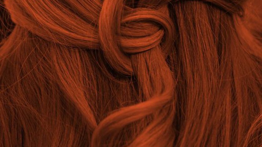 Pflanzenhaarfarbe Komplett SET warmes Flammen-Rot - "warm flame red" direkt vom Naturfriseur Profi -