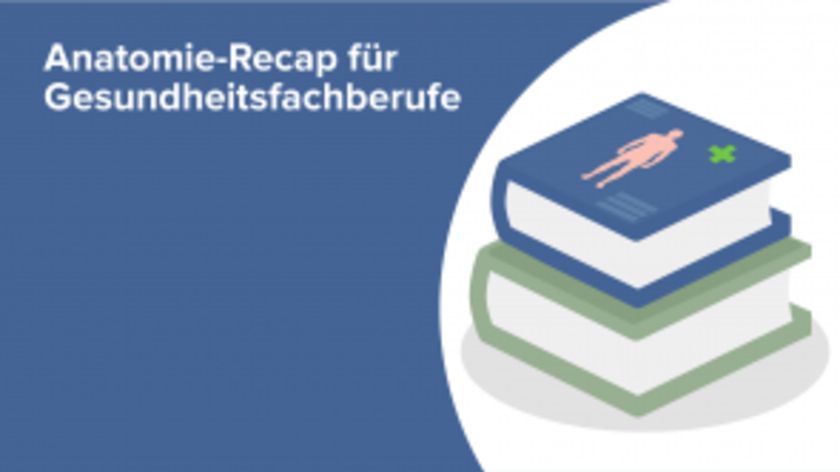 Anatomie-Recap für Gesundheitsfachberufe