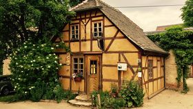 Rote Beete Robuschka