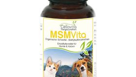 MSM - Organischer Schwefel - 100g für Hunde & Katzen im Glas
