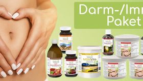 Darm-Immun PLUS Paket | Unterst?tzung f?r den Darm