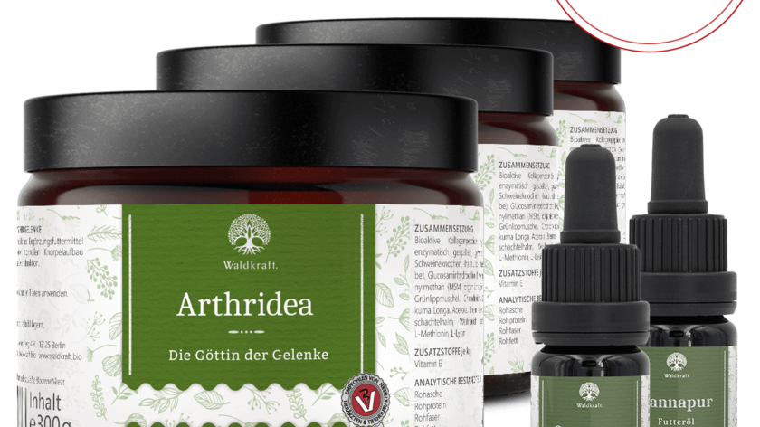 Set: Gelenke-Set für Hunde: Arthridea und CBD