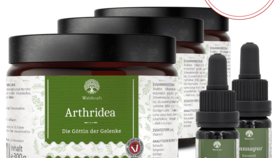 Set: Gelenke-Set für Hunde: Arthridea und CBD