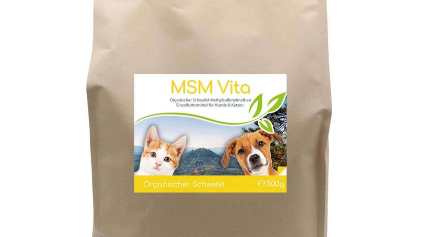 MSM - Organischer Schwefel - 500g für Hunde & Katzen