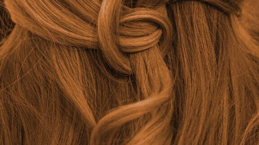 Pflanzenhaarfarbe Komplett SET warmes Nougat-Braun "warm nougat brown" direkt vom Naturfriseur Profi