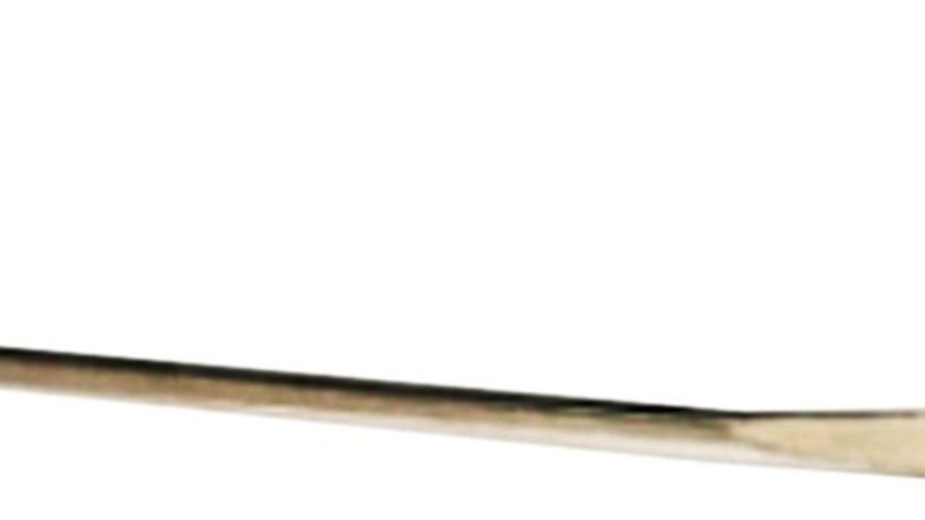 Ayurvedischer Zungenschaber