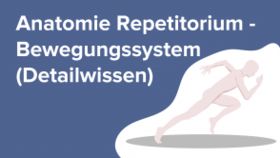 Anatomie Repetitorium - Bewegungssystem (Detailwissen)