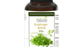 Artemisia Annua Einj?hriger Beifu? 50g