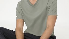 hessnatur Herren V-Shirt Regular aus Bio-Baumwolle - grün - Größe 50