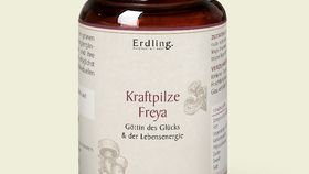 Bio Kraftpilze Freya – Vitalpilz Synergetikum – 120 Kapseln